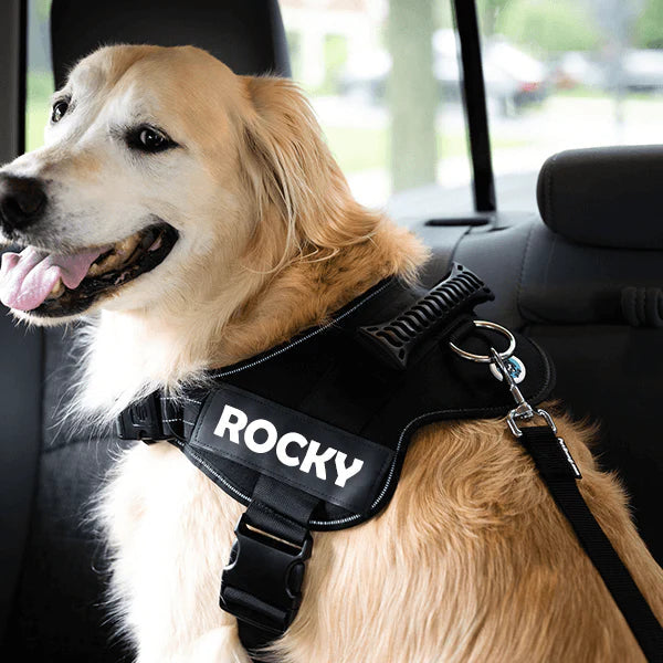 Adjustable Dog Safety Seat Belt - dabarey